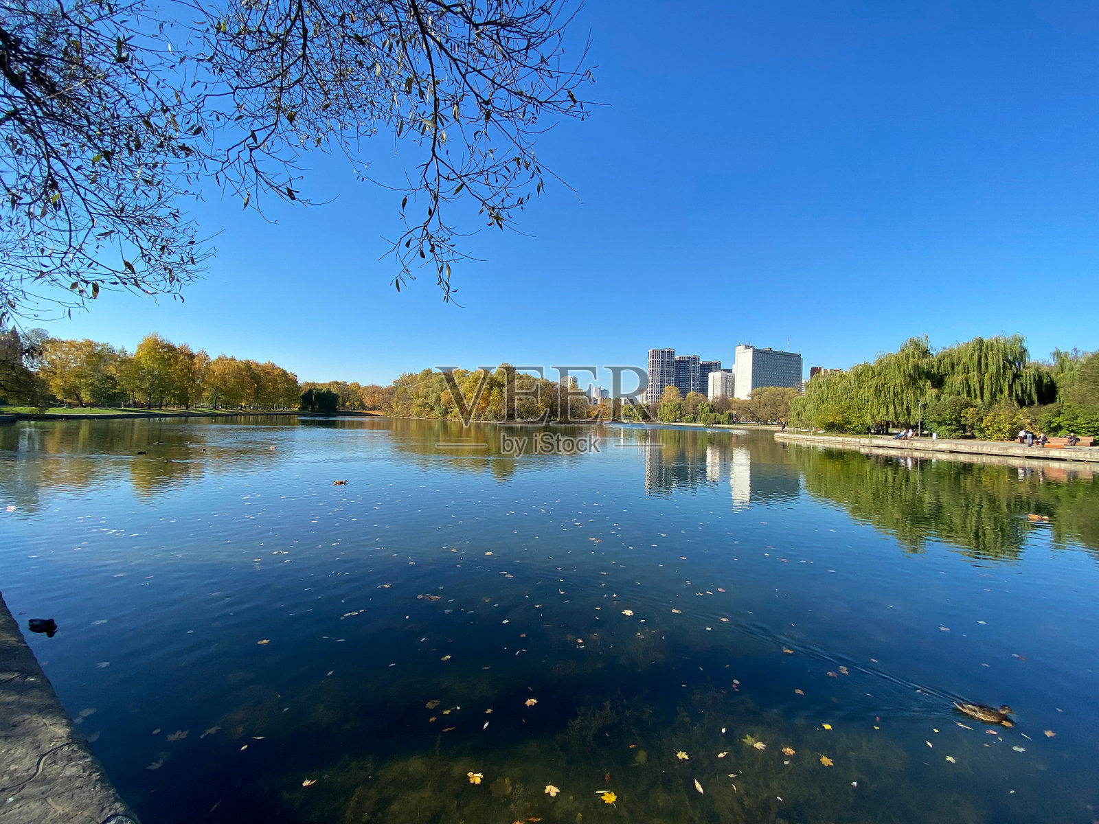 秋天的公园在干燥晴朗的秋日照片摄影图片