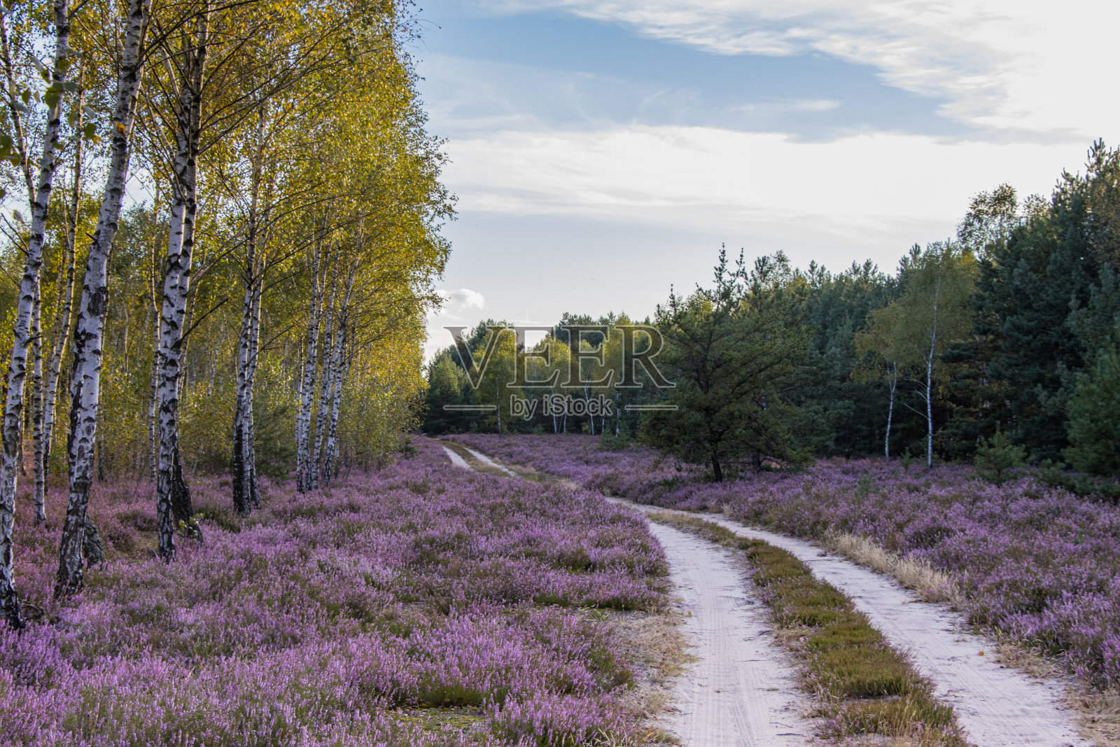秋天的荒原照片摄影图片