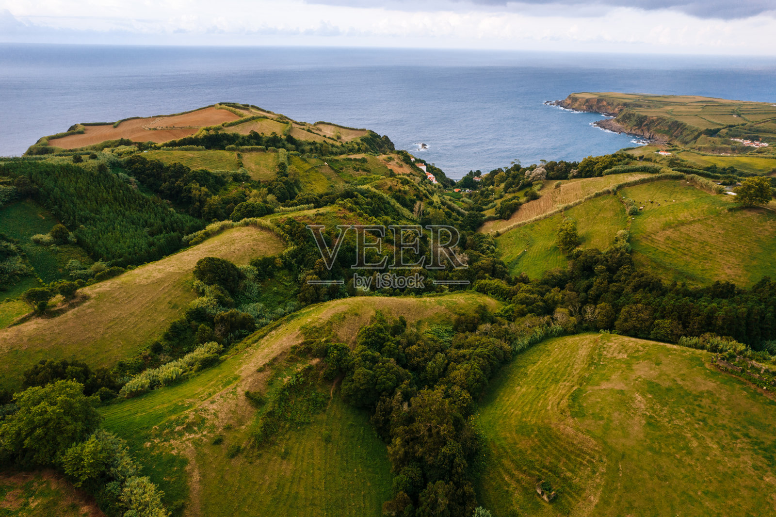 蓝色的海洋和绿色的高地照片摄影图片
