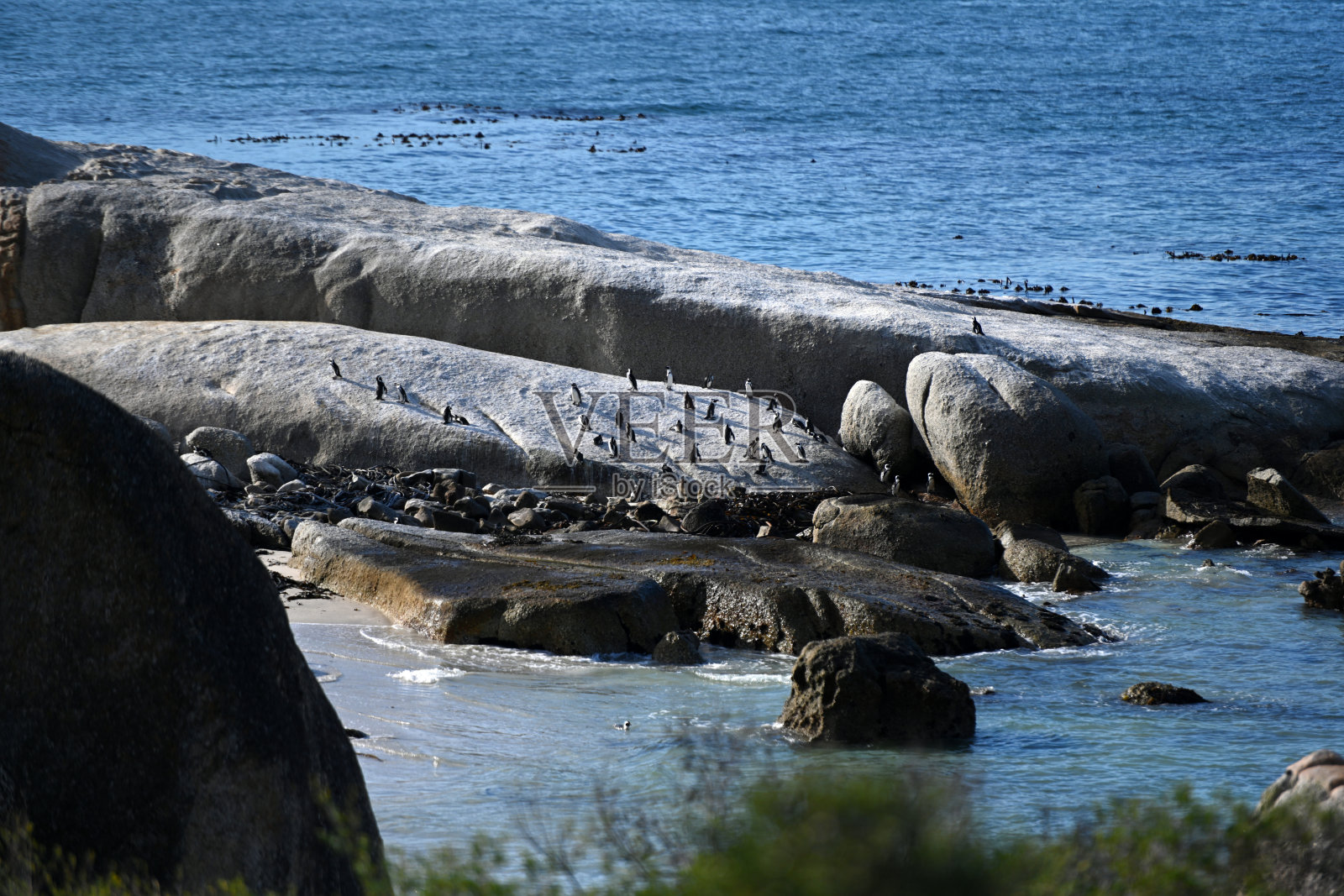 开普敦旅游人数增加照片摄影图片
