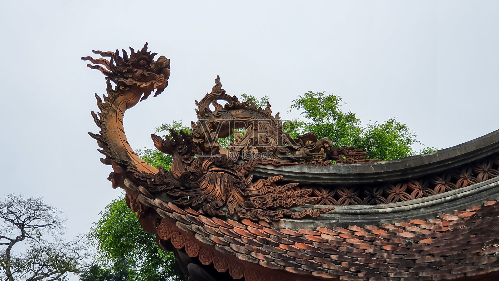 越南林健A楼屋顶上的龙雕塑。照片摄影图片