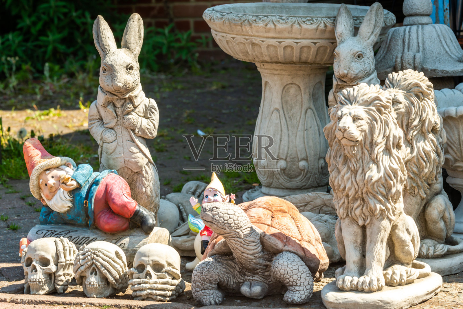 枫路市场照片摄影图片