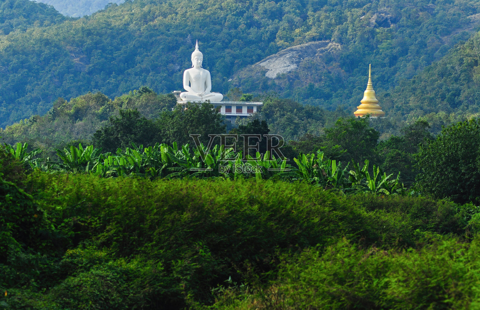 大白佛像照片摄影图片