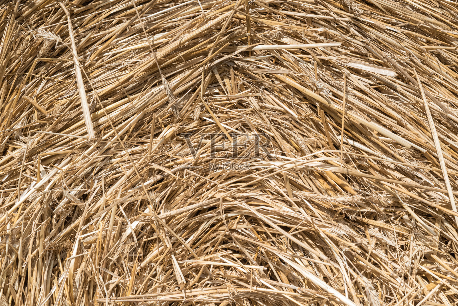 新鲜干草的黄米色背景。干草。农场动物饲料。照片摄影图片