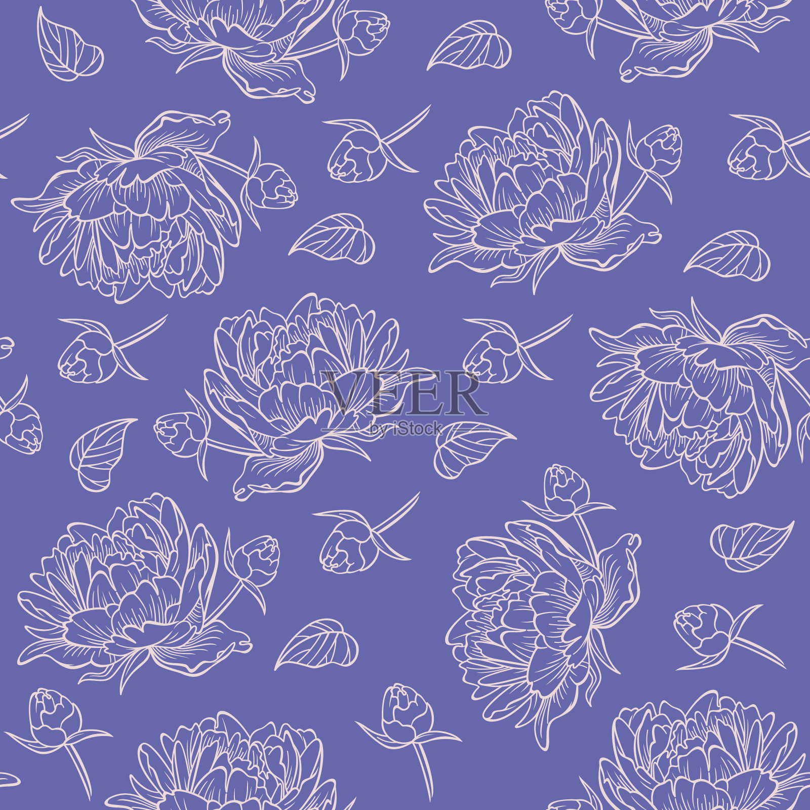 牡丹花朵图案。插画图片素材