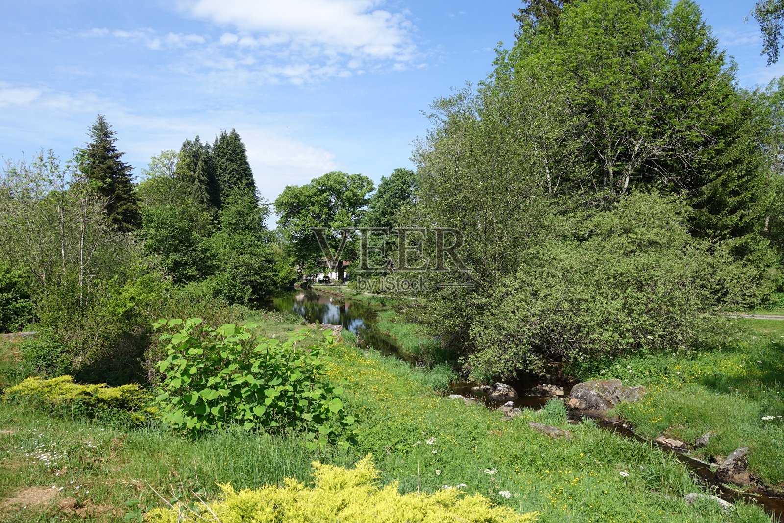 La Gartempe河位于法国La Creuse，离它的源头不远，春天植被葱茏照片摄影图片