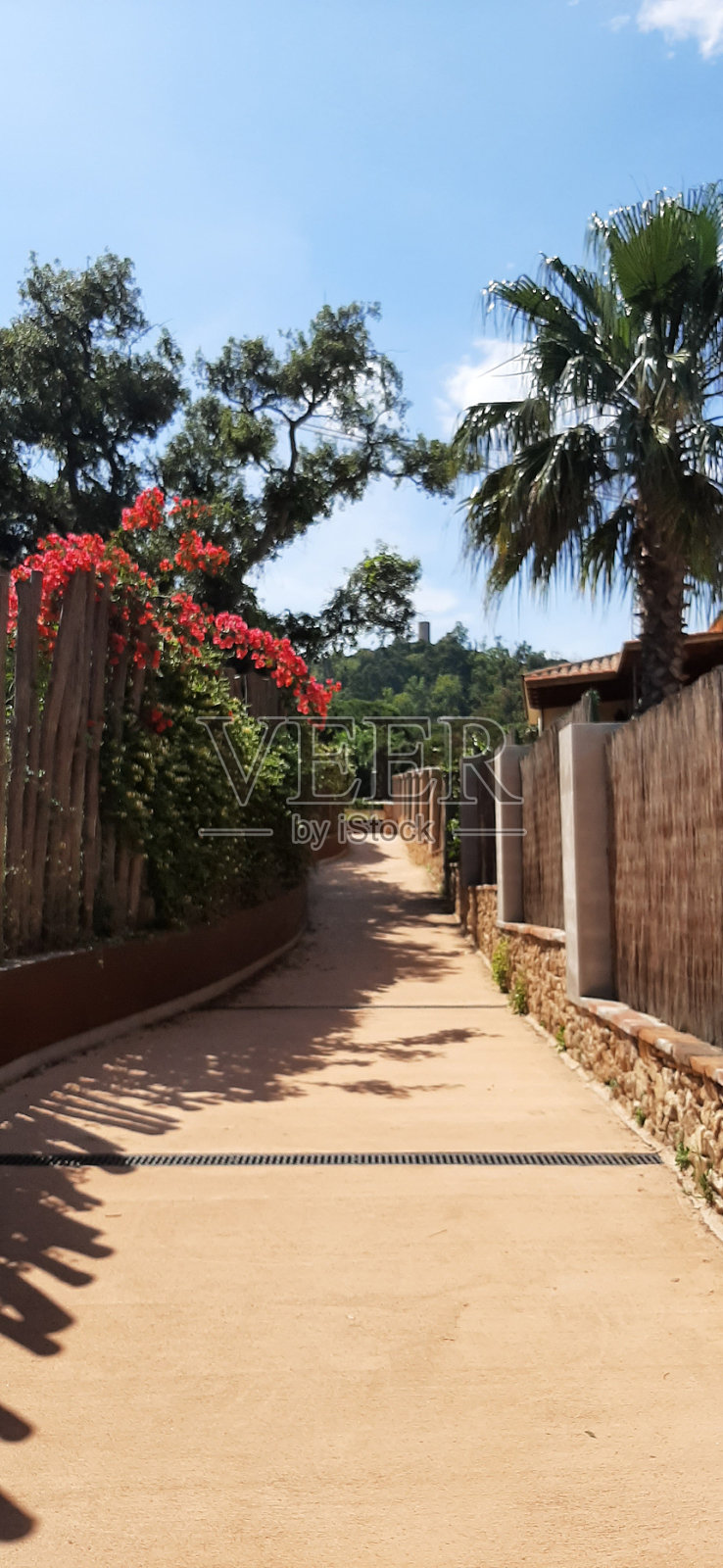 卡拉圣弗朗西斯克照片摄影图片