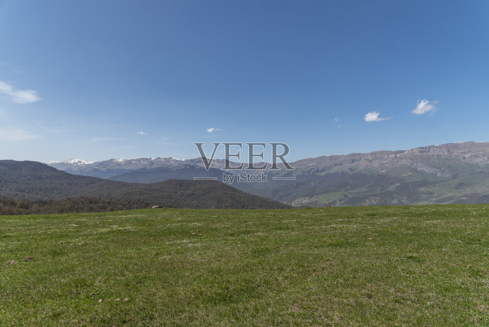 春天的景色，绿油油的田野上有树木。照片摄影图片