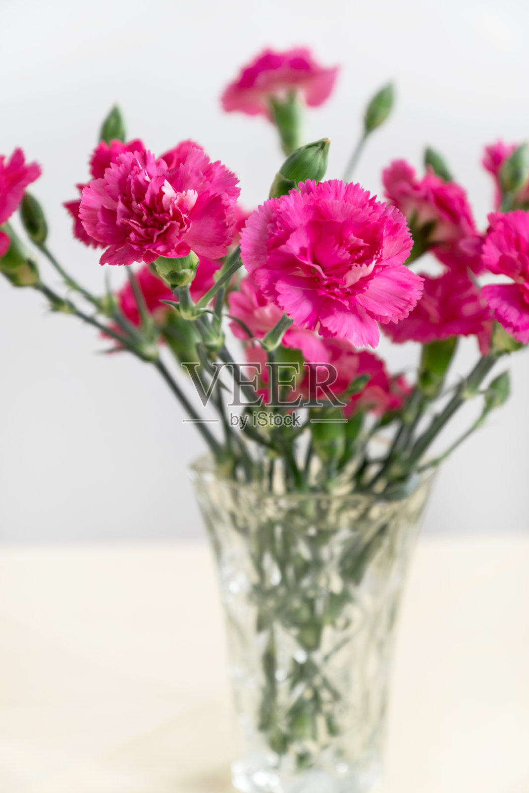 装满粉色康乃馨的玻璃花瓶照片摄影图片