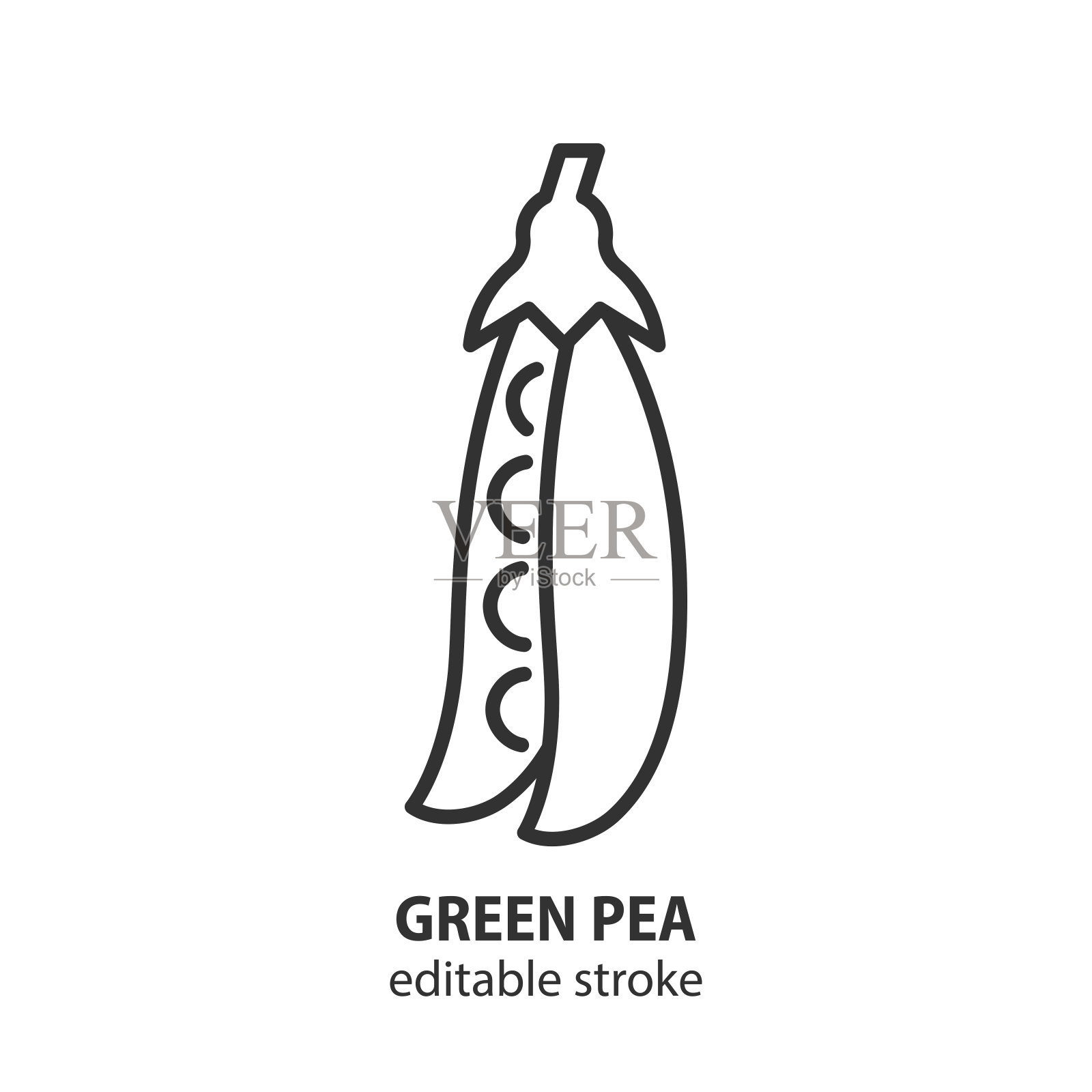 绿色豌豆线图标。豌豆荚矢量符号。插画图片素材