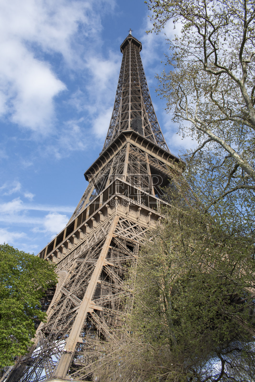 欧洲，法国，巴黎:从埃菲尔铁塔下看到的一棵树照片摄影图片