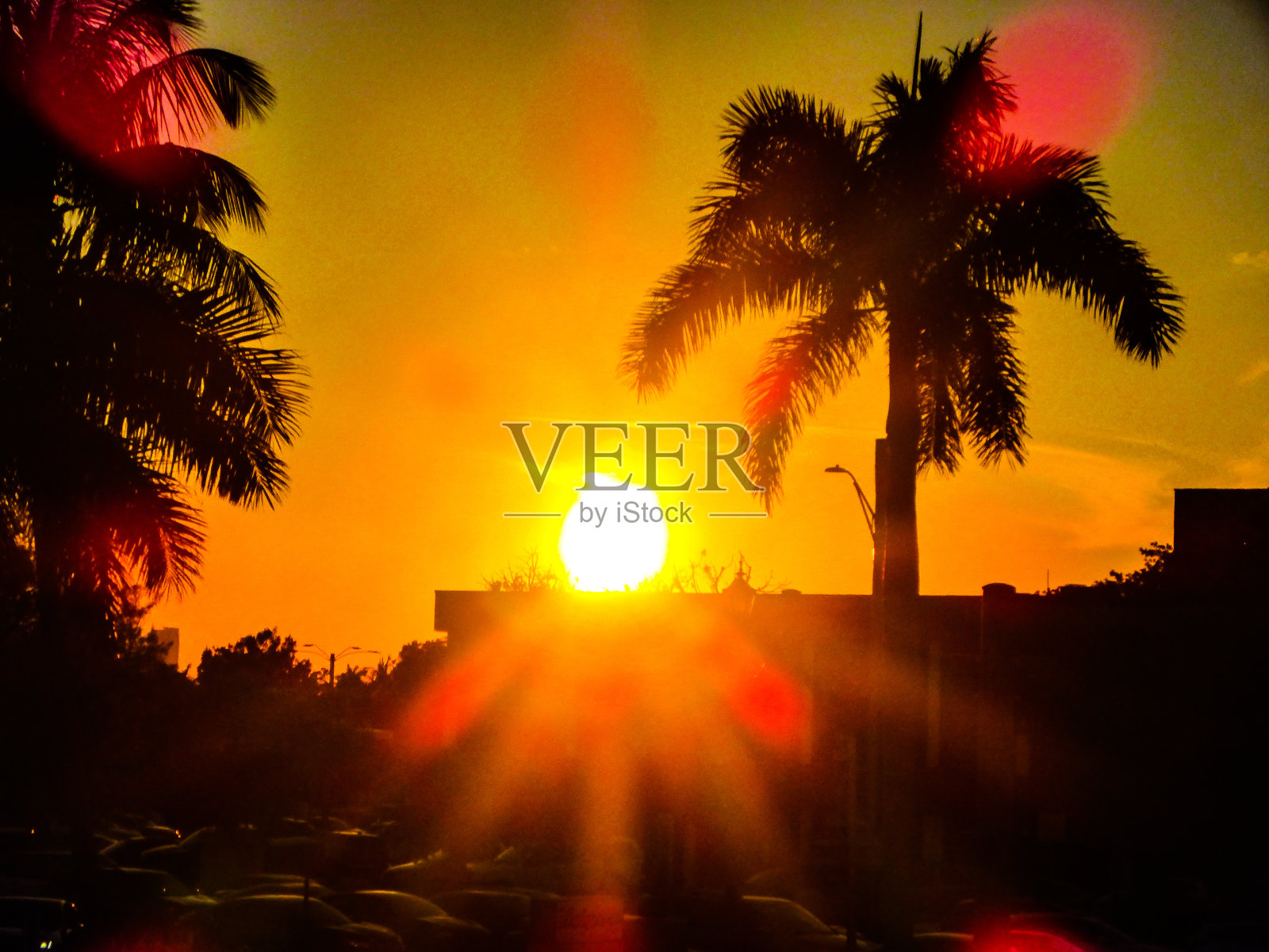 日落迈阿密海滩照片摄影图片