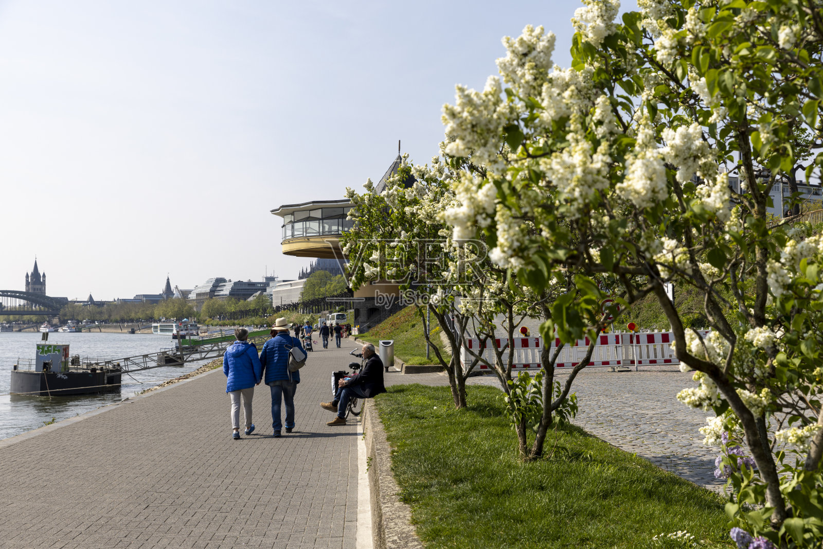 阳光明媚的春天，莱茵河岸边照片摄影图片