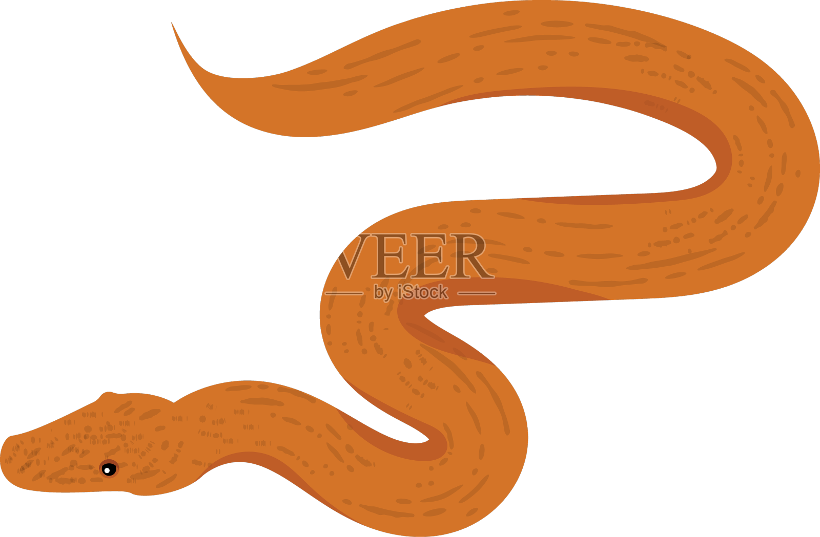 蛇设计元素图片