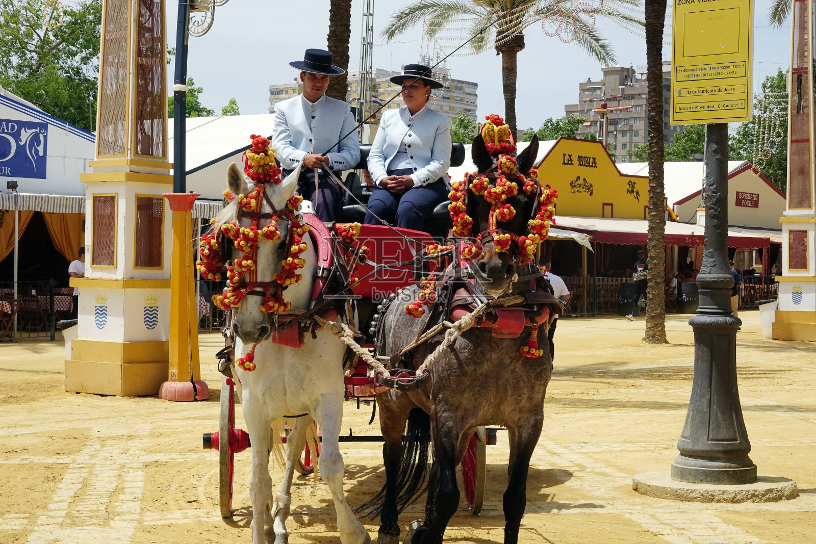 马的庆祝活动照片摄影图片