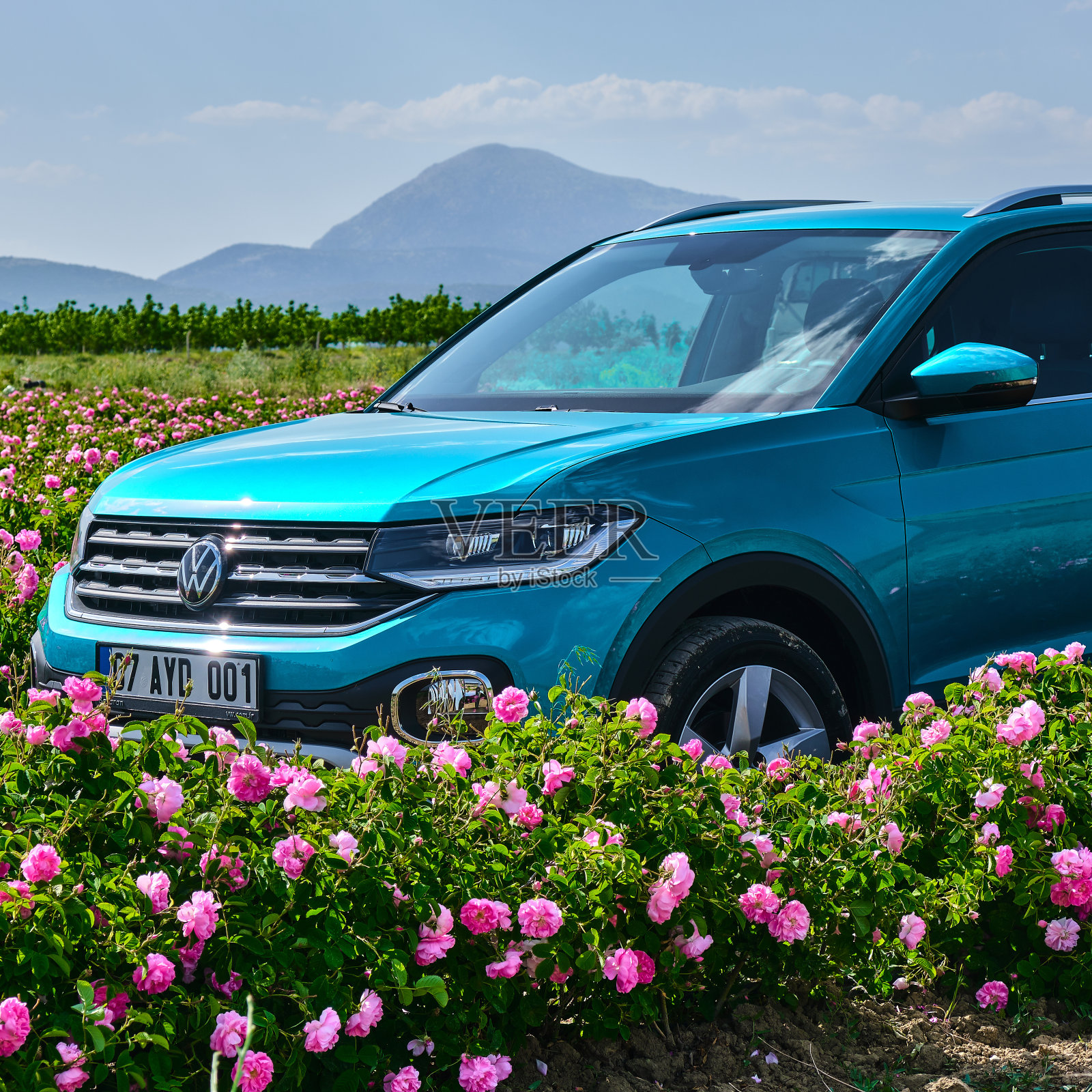 大众照片摄影图片