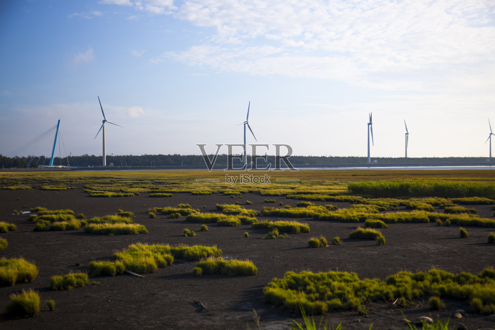 台湾、台中、西海岸、景点、高美湿地、公园、风车照片摄影图片