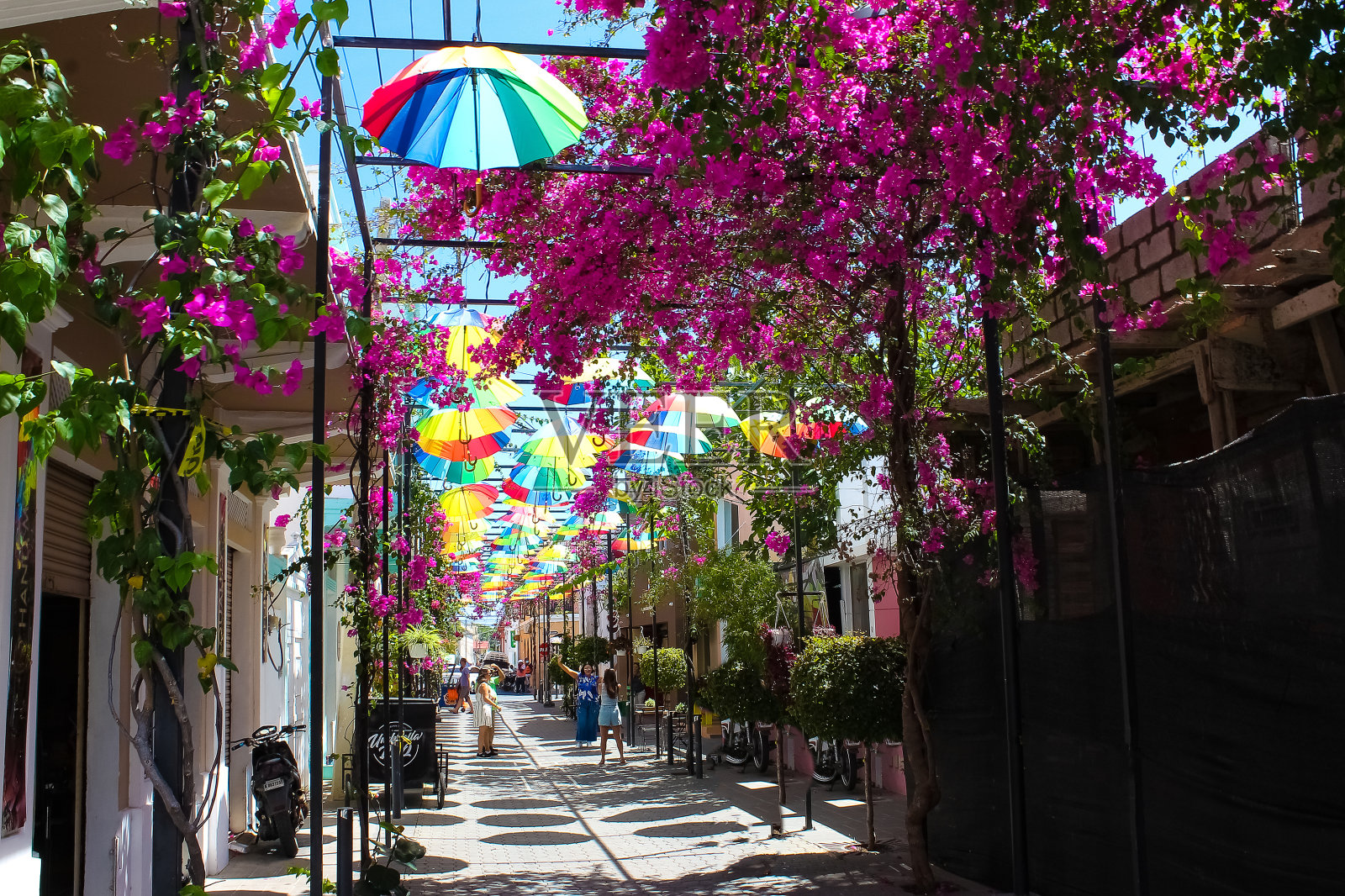 普拉塔港的街道雨伞照片摄影图片