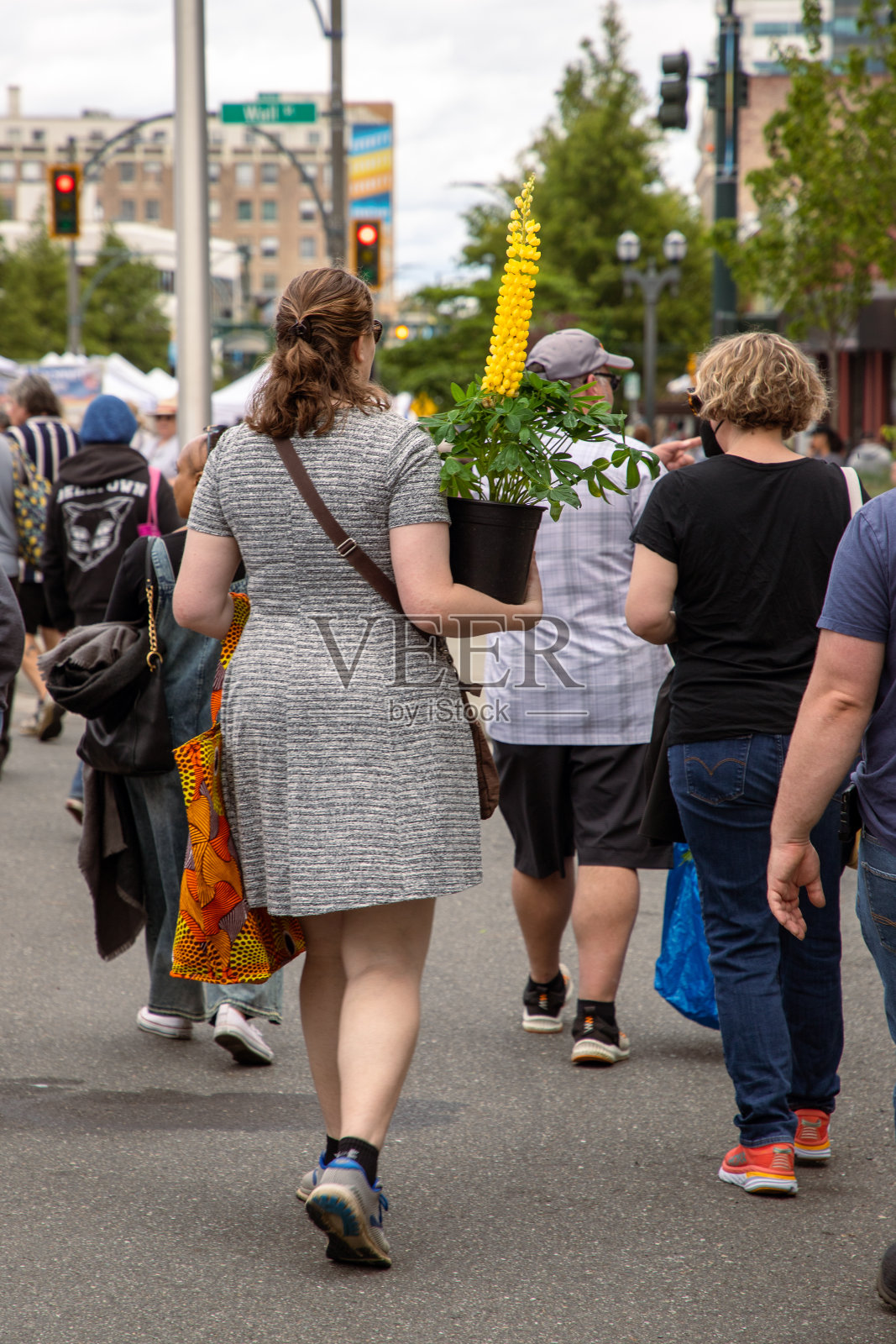 市中心的种植花园艺术博览会照片摄影图片