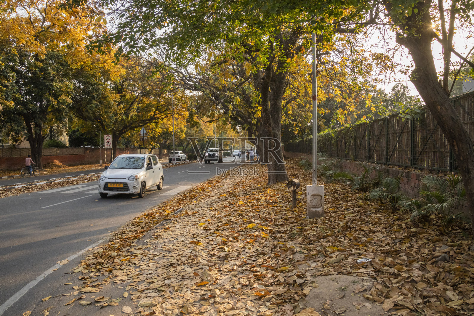 昌迪加尔的秋天照片摄影图片