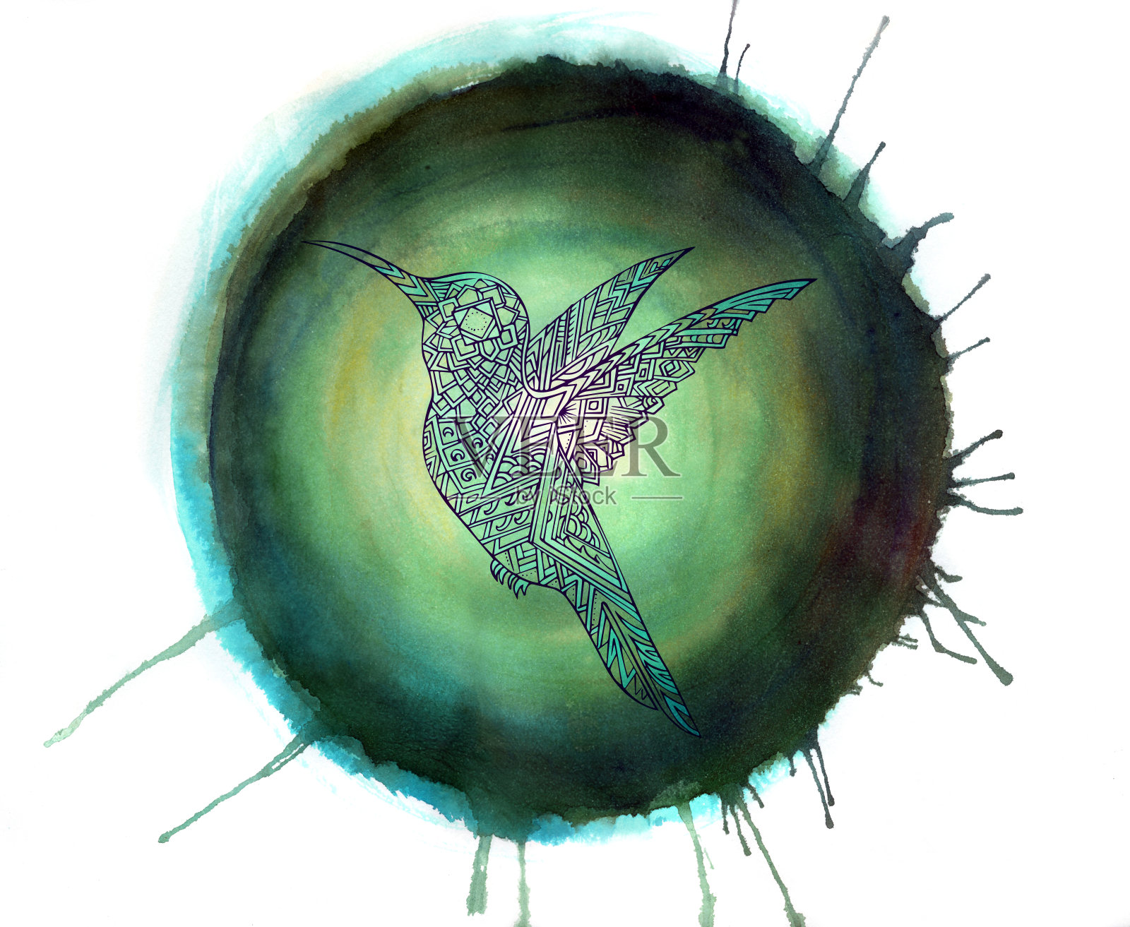 蜂鸟在绿色旋转的圆圈上插画图片素材