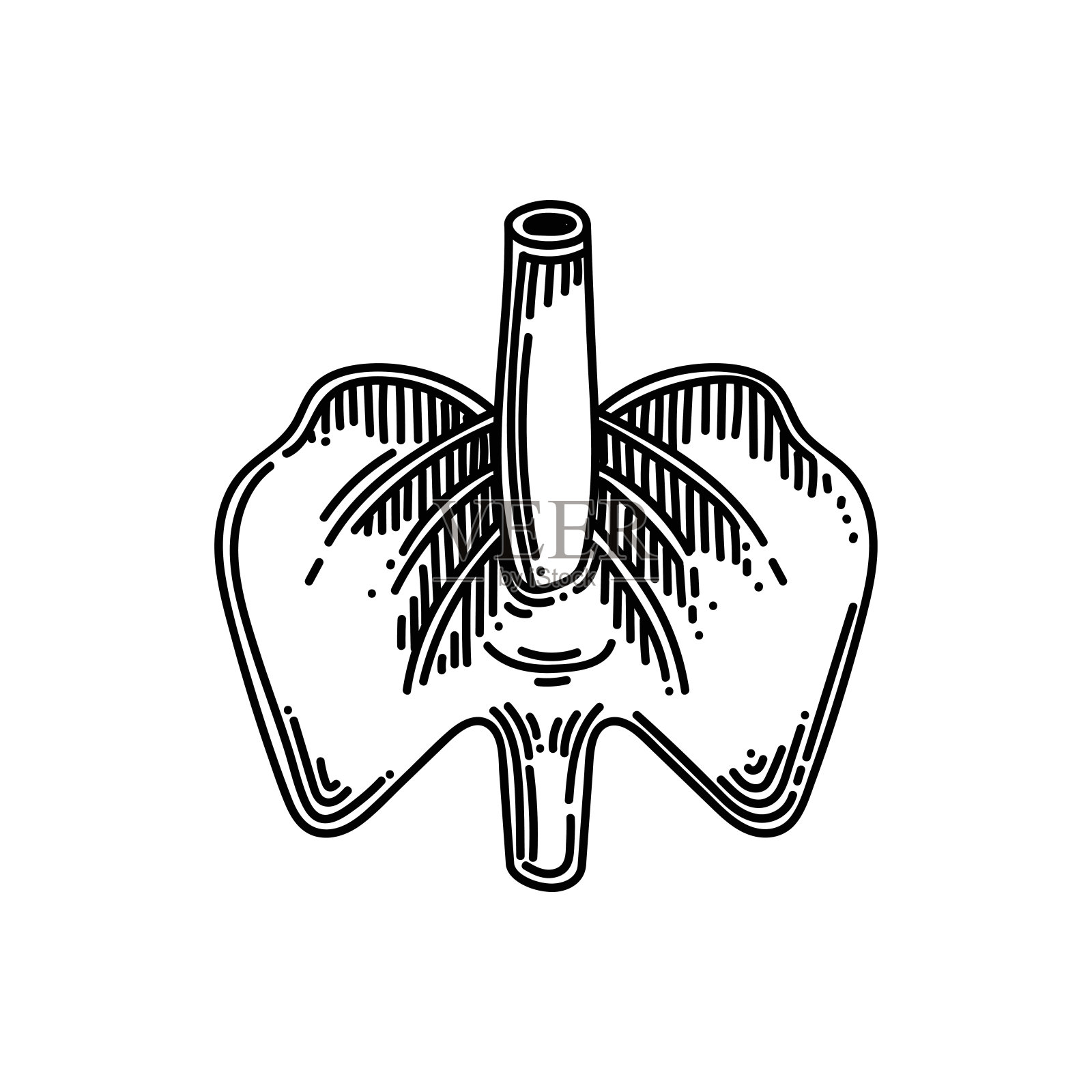 隔膜线图标，草图设计，像素完美，可编辑笔触。标志、标志、符号。人体器官。插画图片素材