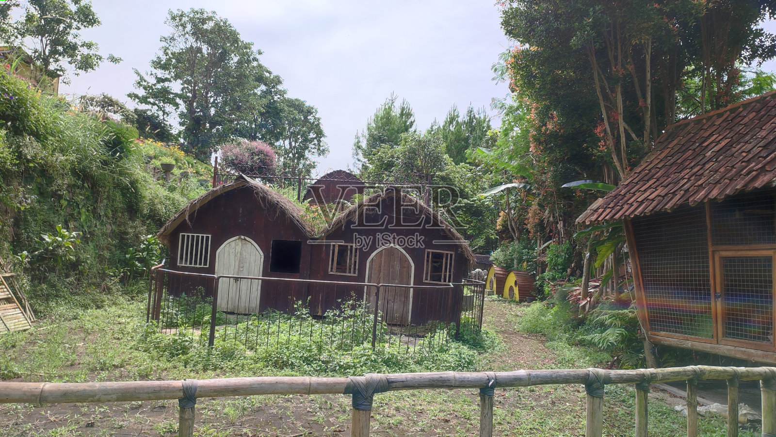 山羊笼照片摄影图片