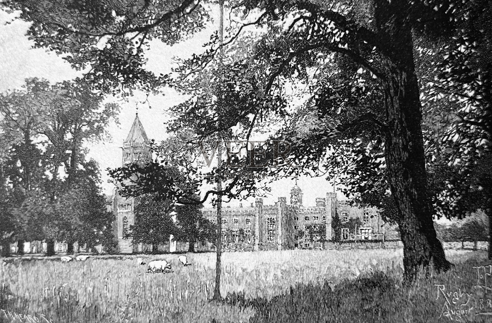 美国夏天的橄榄球学校插画图片素材