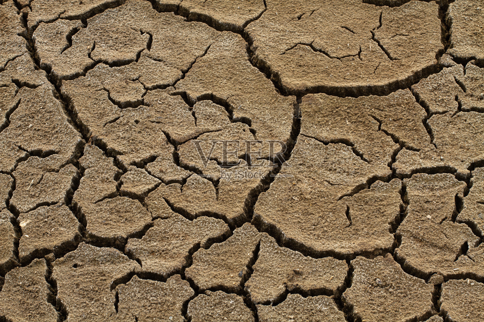 干土表面的裂缝照片摄影图片