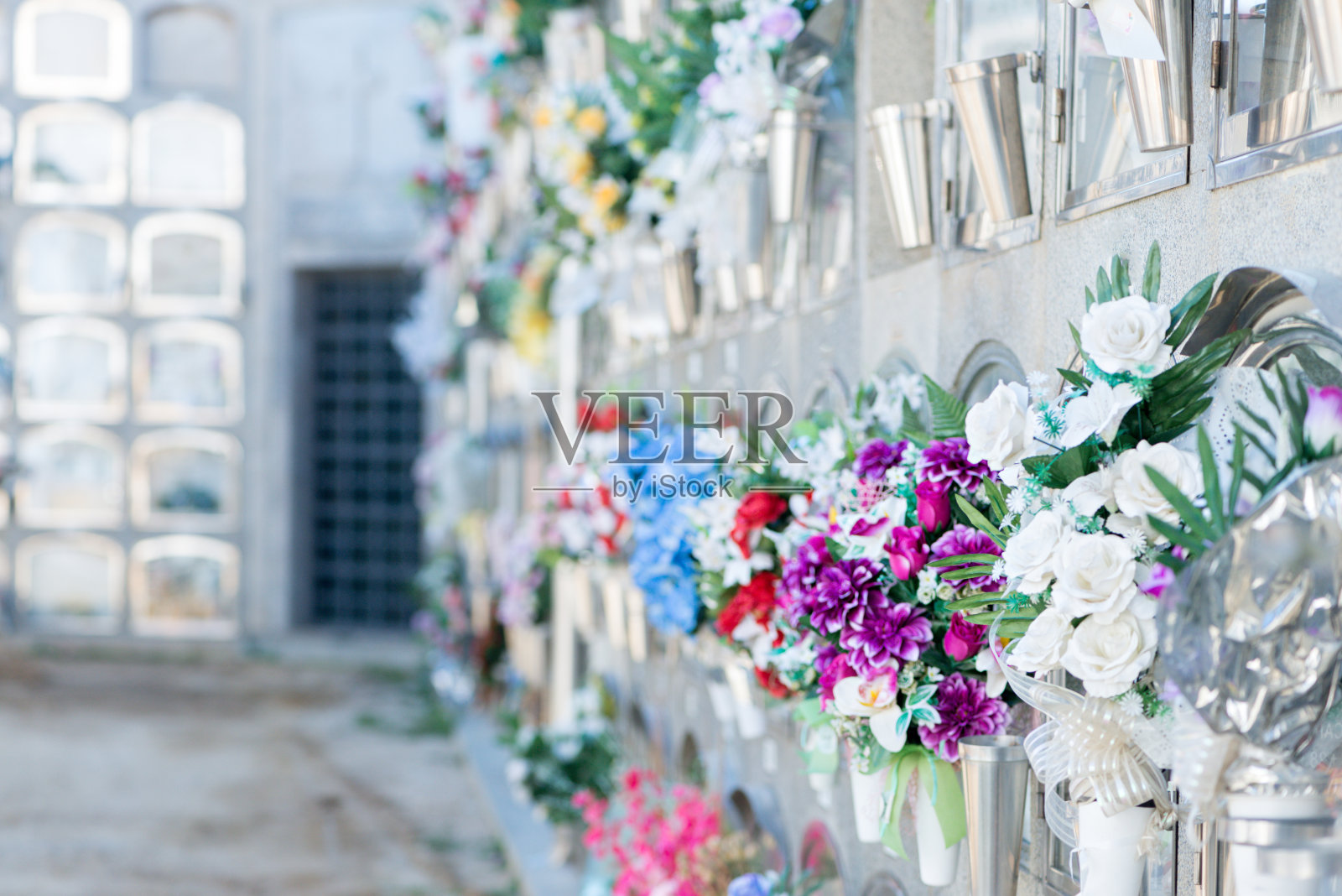 纪念花园:墓地花的语言照片摄影图片