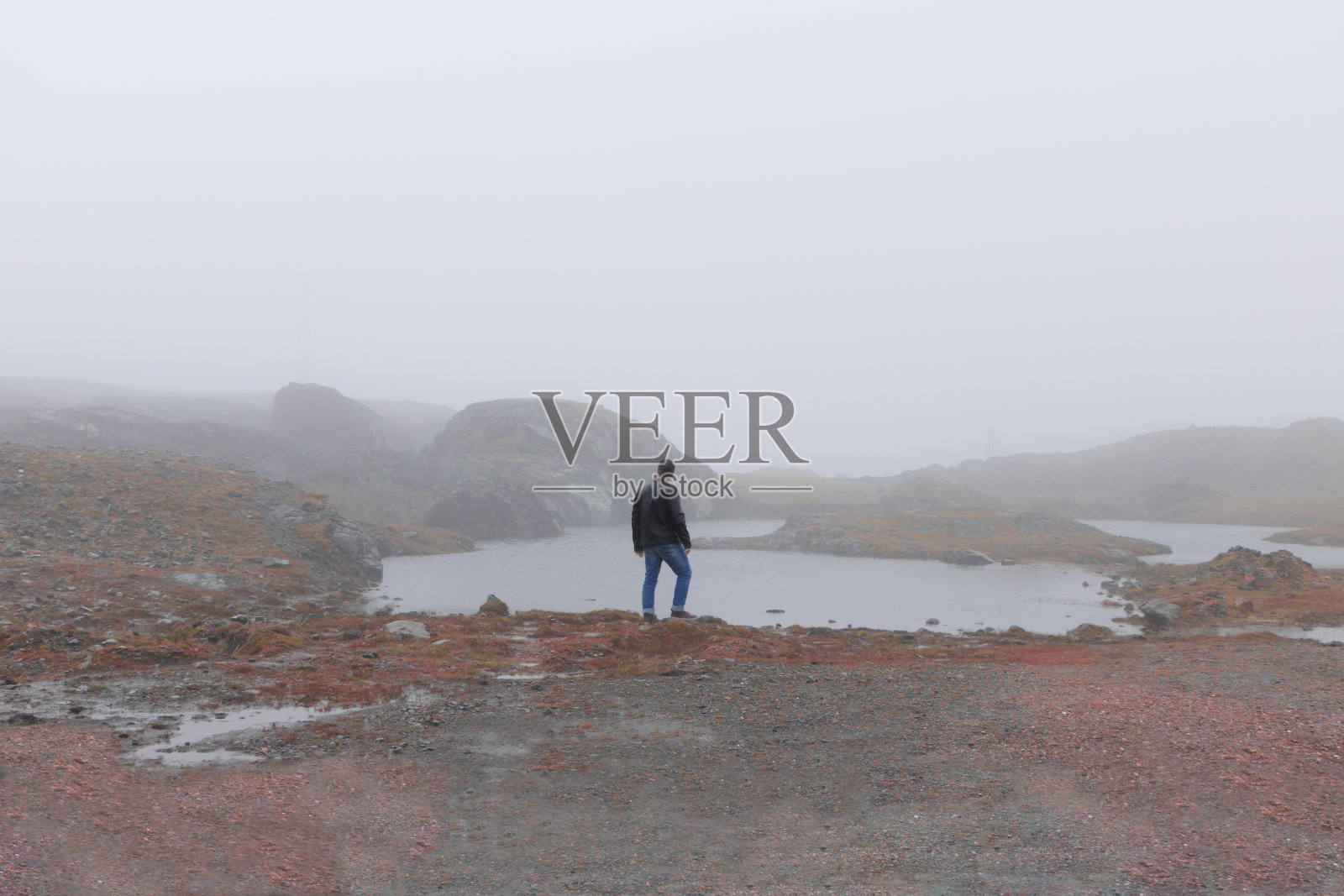 一个中年男子在雾天望着地平线照片摄影图片