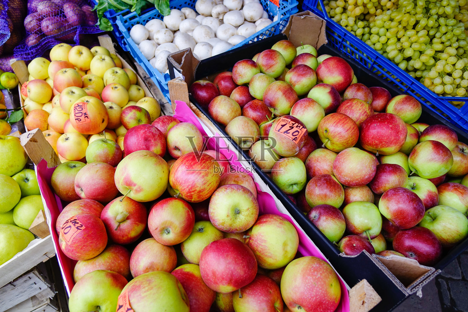 俄罗斯圣彼得堡的农村市场照片摄影图片