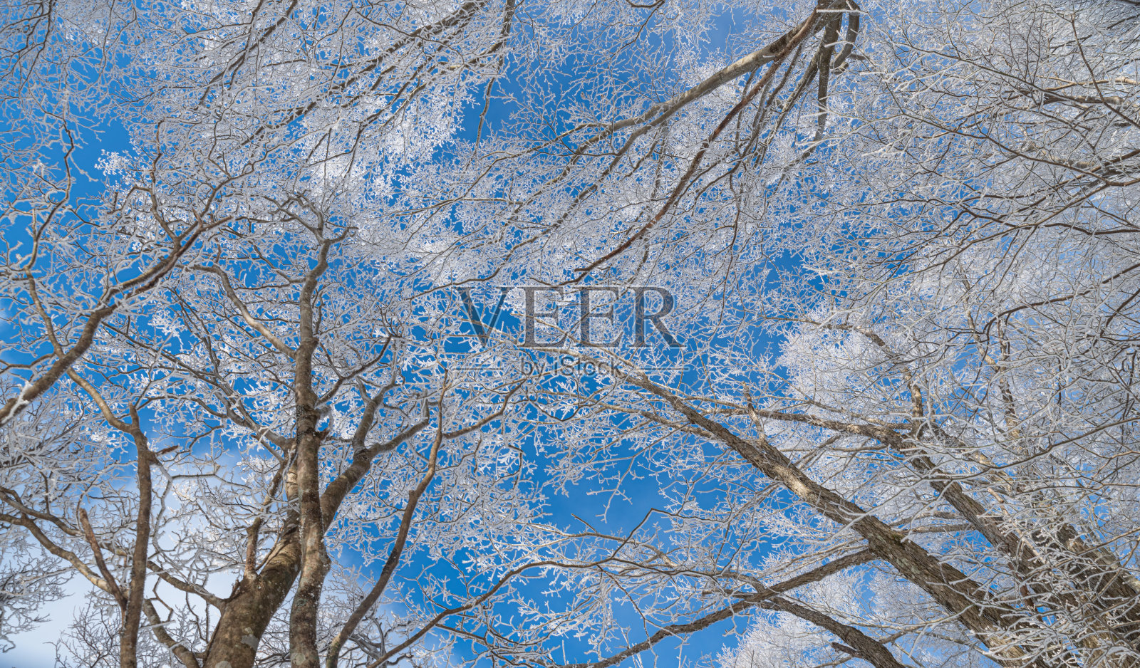 蓝天和白霜照片摄影图片