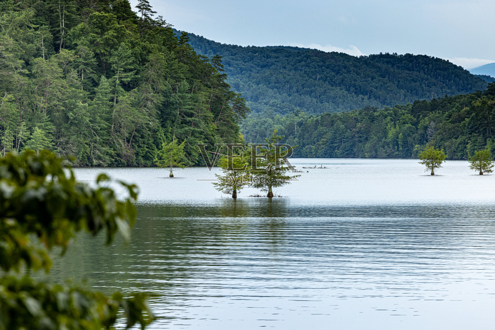 树在山上的一个湖里照片摄影图片