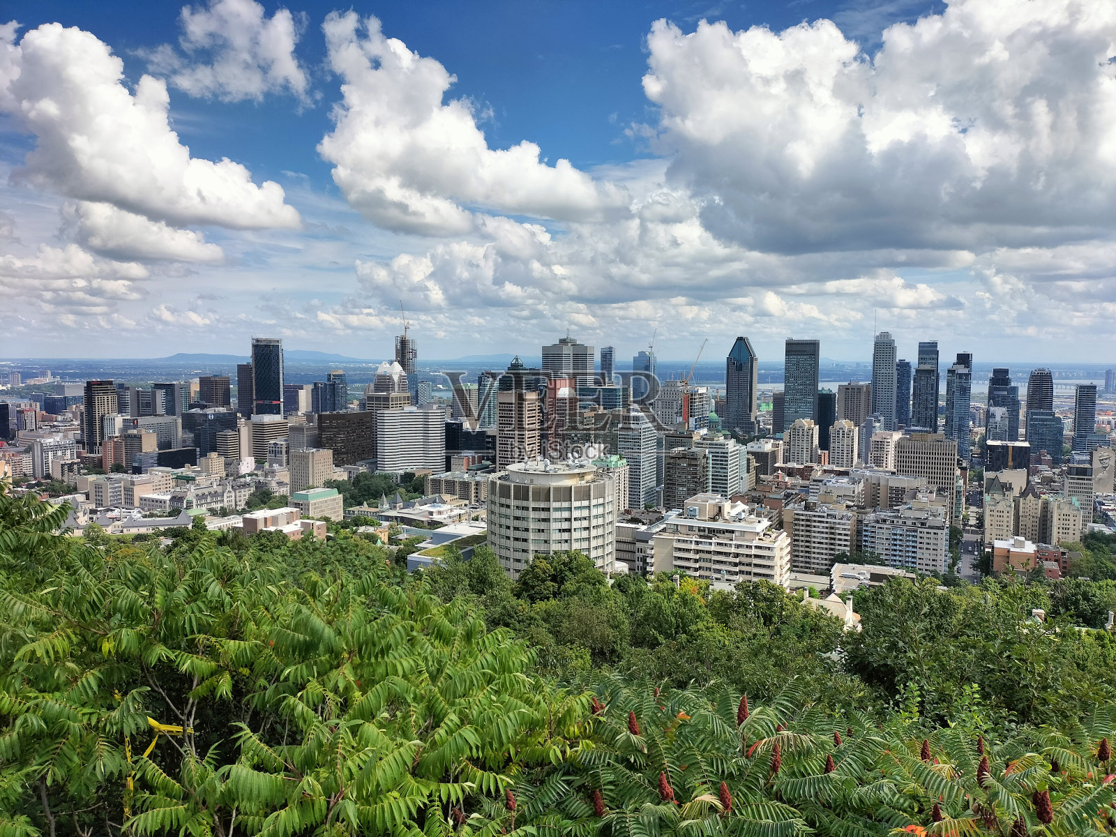 在阳光明媚的日子里，多伦多市的景色照片摄影图片