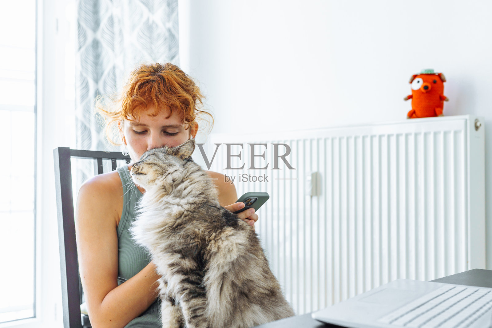 花时间陪你的猫照片摄影图片