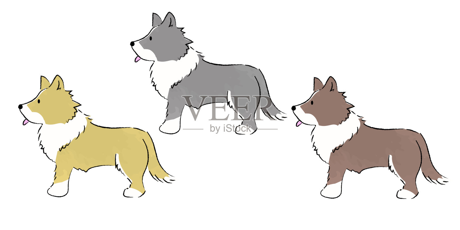 手绘简单可爱的边界牧羊犬插图景观方向插画图片素材