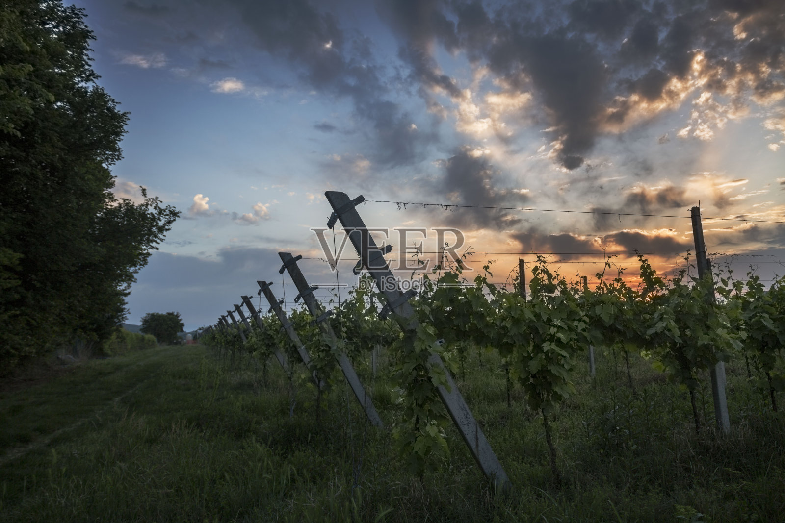 Castegnero、意大利照片摄影图片