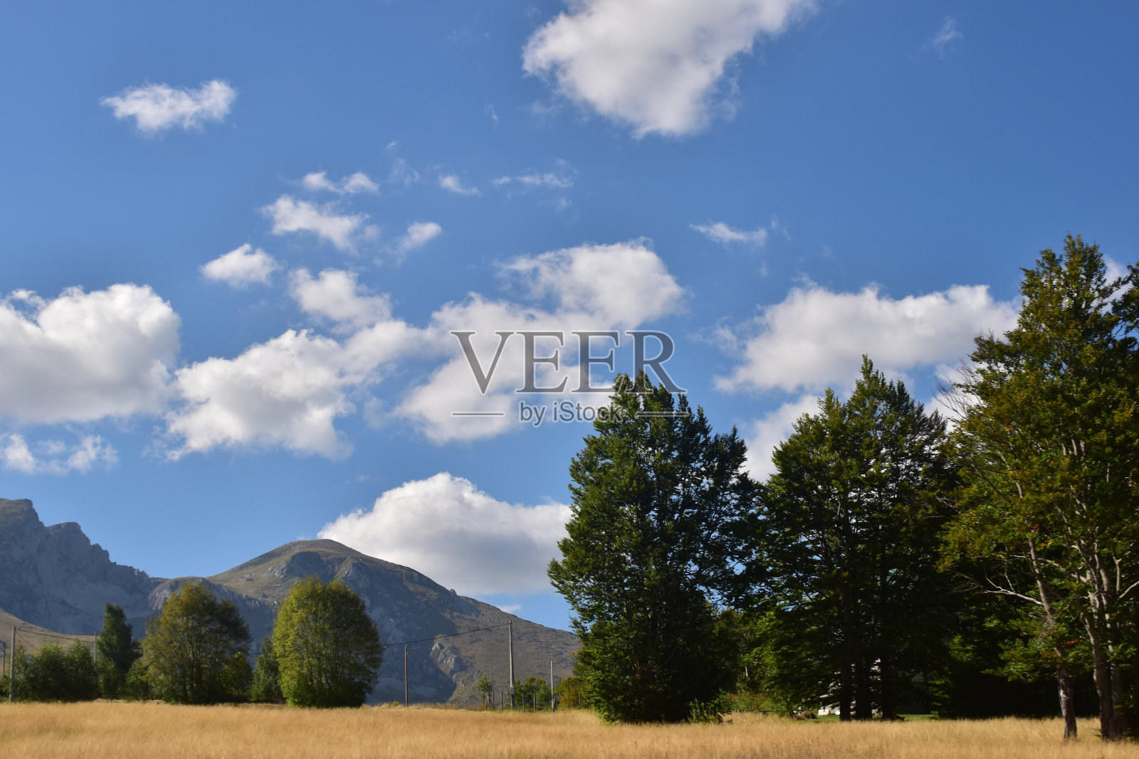 在一个阳光明媚的秋天，草地和蓝天照片摄影图片