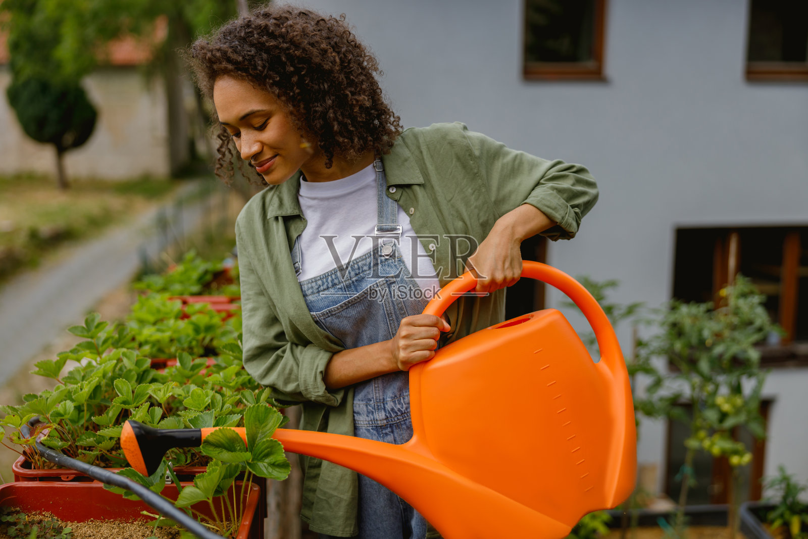 一位女园丁正在花园中心给植物浇水。可持续发展和有机种植的概念照片摄影图片
