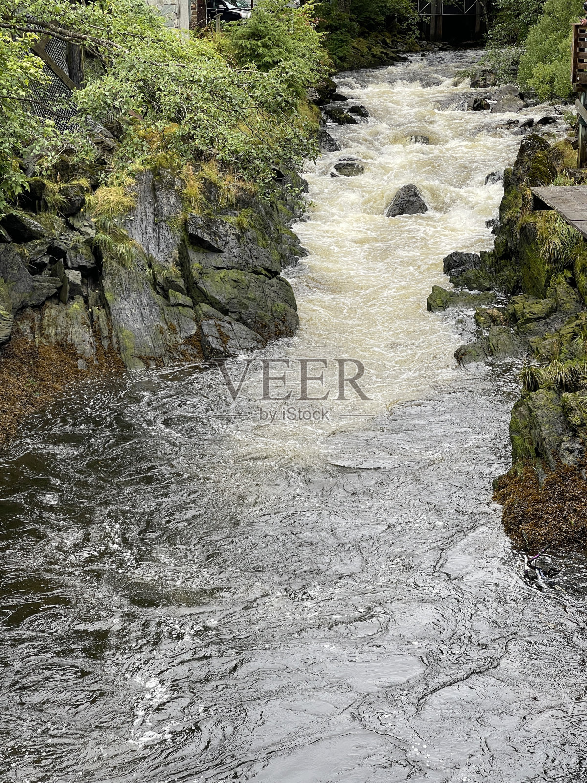 小河激流照片摄影图片