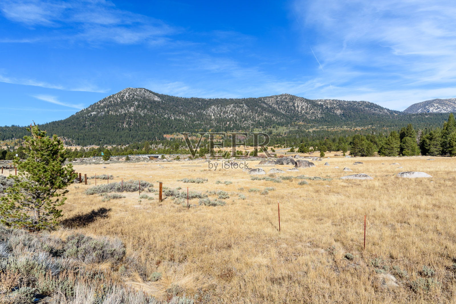 在一个晴朗的秋日里，加州内华达山脉的山景照片摄影图片