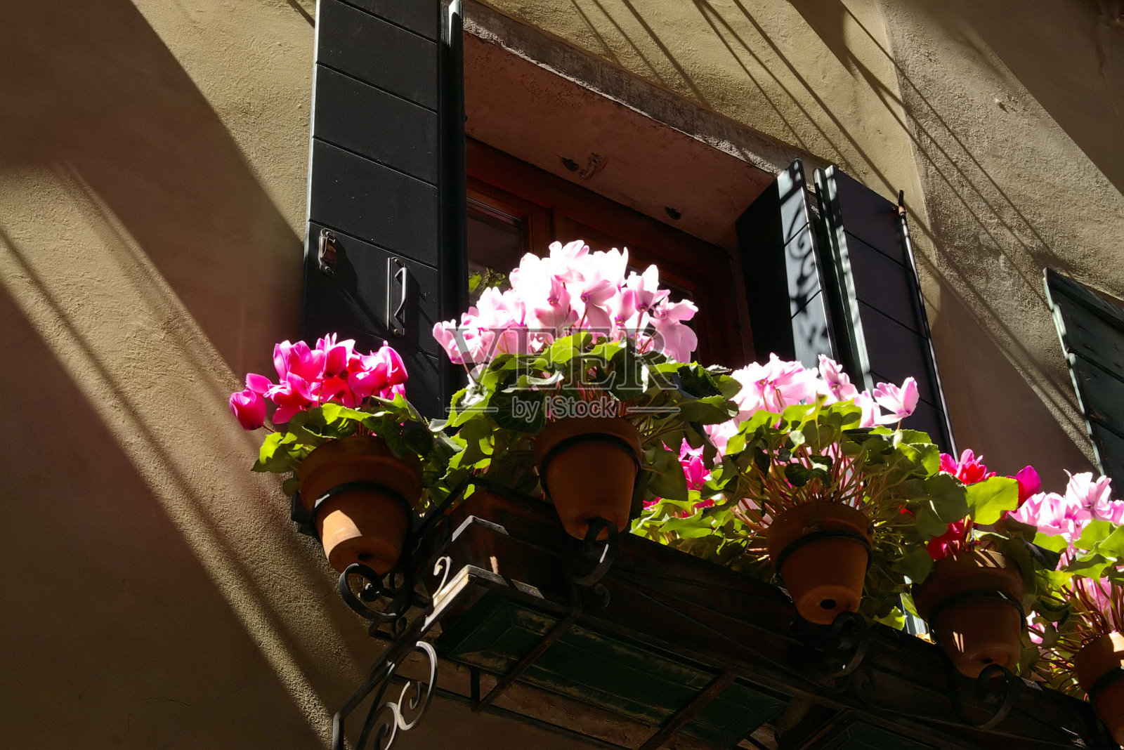 正面和花阳台的景色照片摄影图片