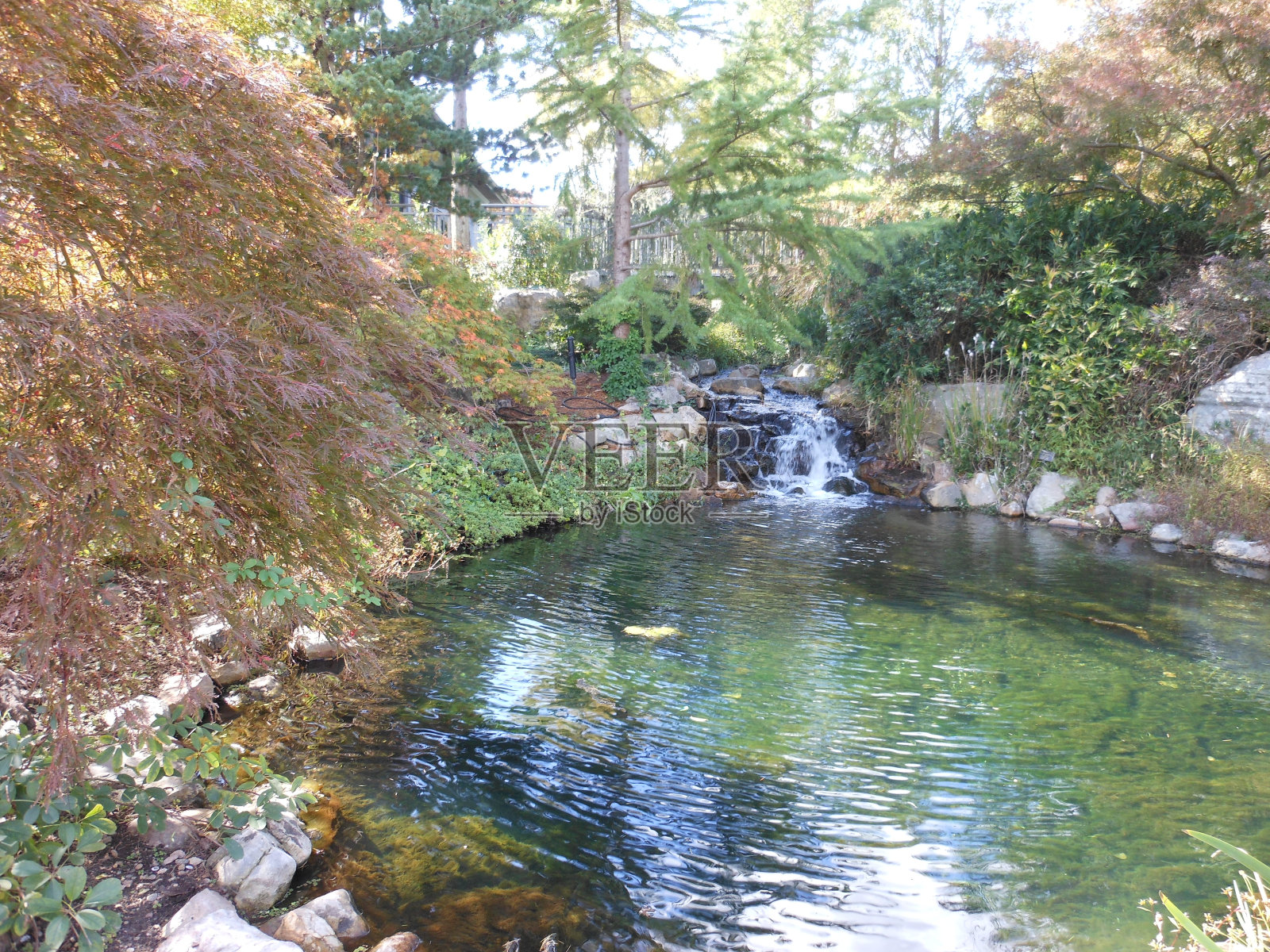 秋天的树木，山脉和城镇照片摄影图片
