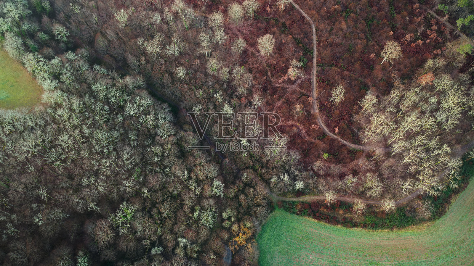 多尔多涅山谷的森林无人机视图照片摄影图片