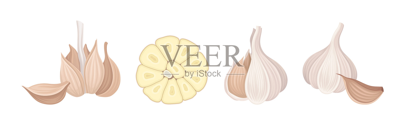 大蒜作为芳香健康的食品调味品插画图片素材
