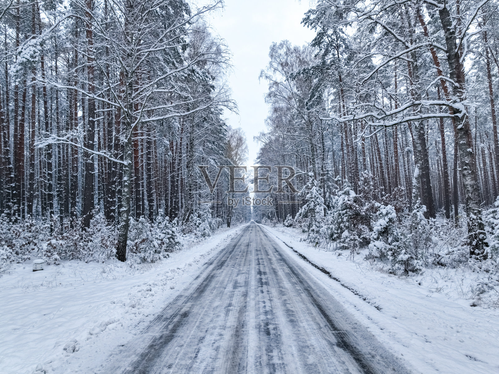 波兰冬天的柏油路和白雪皑皑的森林。照片摄影图片