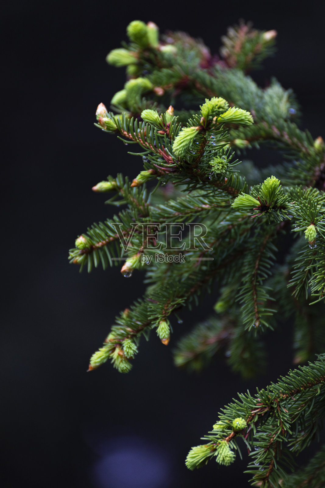 另一幅蒙塔西奥高地的景色照片摄影图片