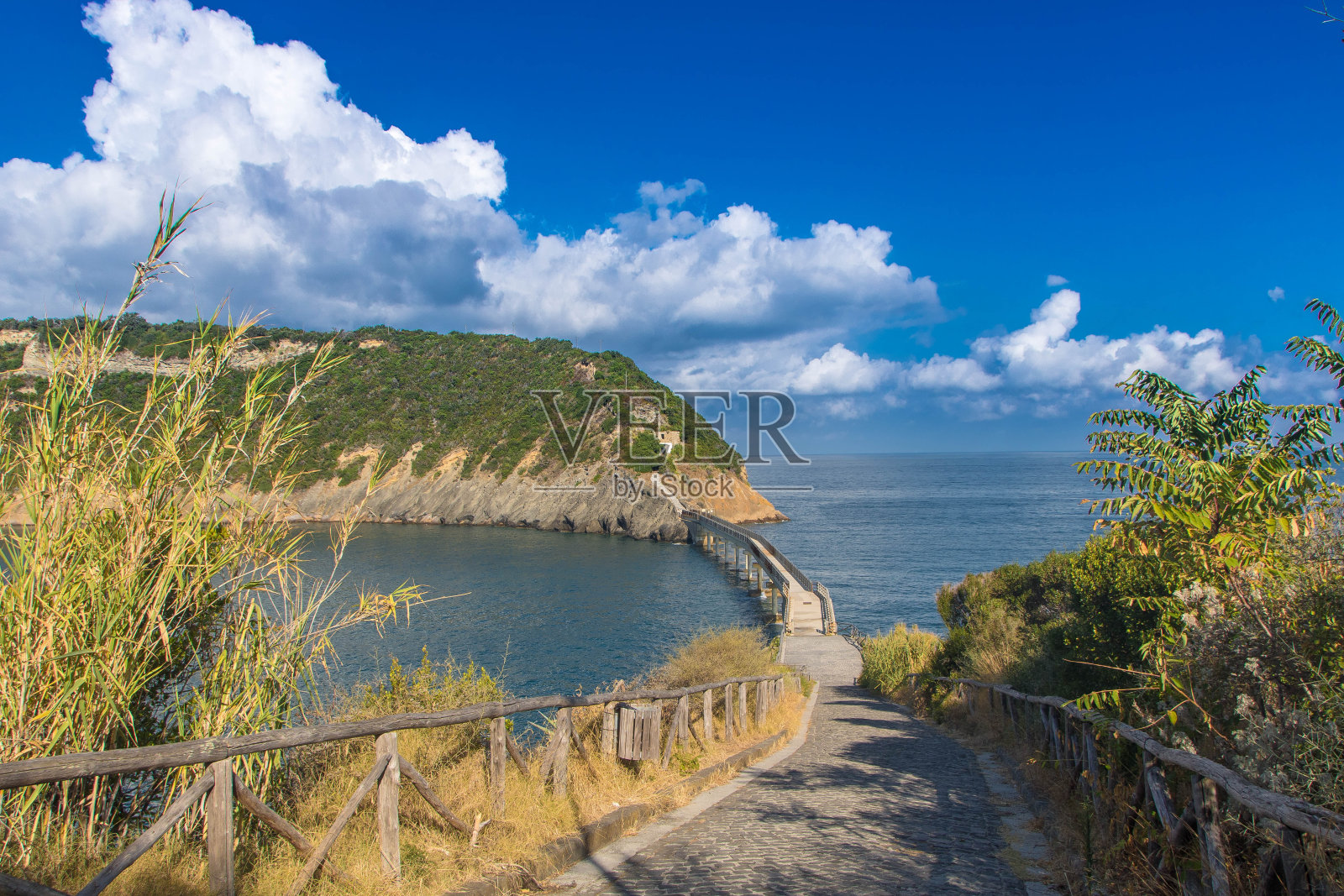 维瓦拉岛，普罗奇达的自然保护区照片摄影图片