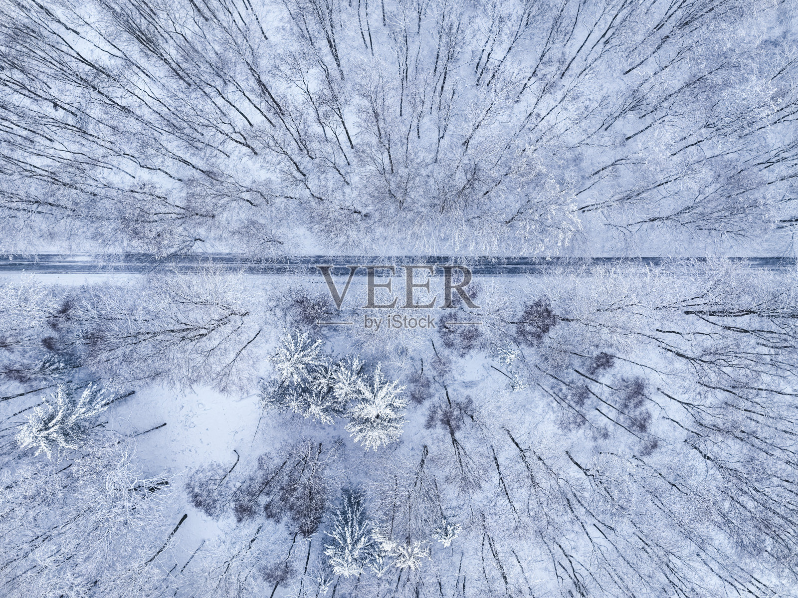 自上而下的森林与雪和乡村道路的看法。照片摄影图片